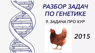 Разбор задачи по генетике, 2015 год - ЦТ, ЕГЭ, ЗНО