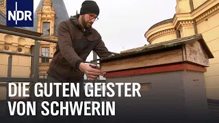 Schwerin: Tausend Jobs im Märchenschloss | die nordstory | NDR Doku