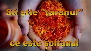 Să știe "țăranul" ce este șofranul