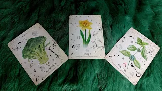 THÁNG 5"ÂM LỊCH " CỦA BẠN SẼ MAY MẮN NHẤT ĐIỀU GÌ?    @EvelynTarot