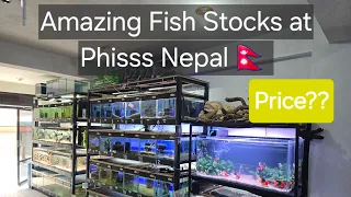 New stocks at Phisss Nepal 🇳🇵 Aquarium Shop- Aquarium Fish #aquariumfish #aquariumshop