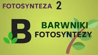 BARWNIKI FOTOSYNTEZY - fotosynteza - KOREPETYCJE z BIOLOGII - 56