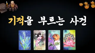 [타로] 나에게 이런 기적 같은 일이?