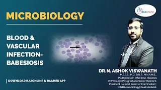 Microbiology | Blood & Vascular Infection (Babesiosis) | Raaonline