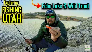 HOT Spinner For Trout Fishing Echo Lake Utah! Black Fly #012 Rainbow & Brown Trout Spinner Fishing!