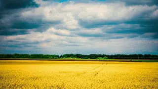 Слово в Бельгии об Украине: Враг хочет наступать на ту землю где еще не ступал. Бельгия. 14.12.22