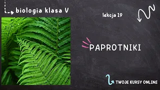 Biologia klasa 5 [Lekcja 19 - Paprotniki]