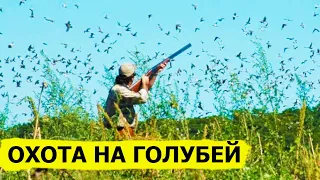 Охота на голубей. Охота (Охотник и рыболов)