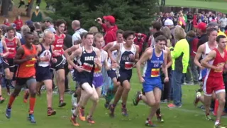 2016-Wisconsin Boys D1 State Cross Country Meet 102916