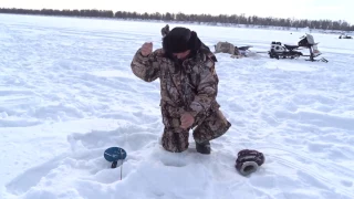 Жерлицы на Иртыше в районе Тобольска 19.02.17г. Эксперимент с поводками