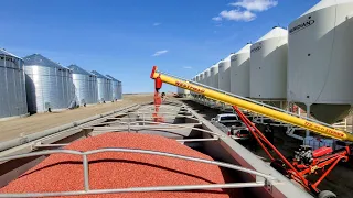 Loading Fert & Treating Seed?