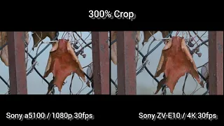 You Need a 4K Camera! Sony a5100 vs Sony ZV-E10. Image Quality Comparison Full HD vs 4K 30fps