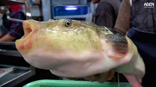 Fugu Sashimi - Street Food in Japan