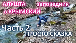 КРЫМ 2021. Поехали из АЛУШТЫ в КРЫМСКИЙ ЗАПОВЕДНИК. Просто СКАЗКА. Часть 2