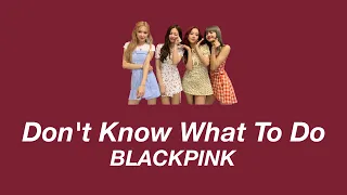 BLACKPINK - Don't Know What To Do パート分け/日本語字幕