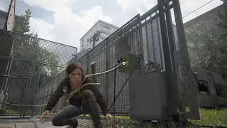 I think Ellie is a bit annoyed about being tangled up - TLOU2