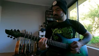 System Of A Down - Vicinity Of Obscenity (Guitar Cover)