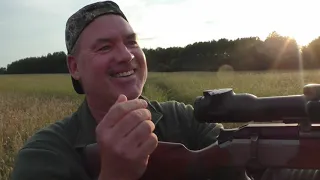 ОХОТА НА КОСУЛЮ ВО ВРЕМЯ ГОНА. Roebuck Hunting.