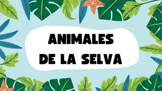 Animales de la Selva en Español para Niños - Video Educativo