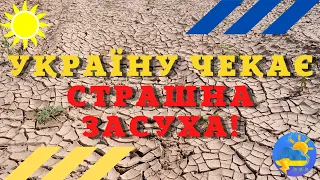 Україну чекає справжня посуха в липні: синоптики назвали найнебезпечніші регіони