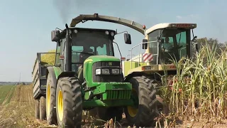 Kiszonka 2019 Z Panem Włodkiem Vixa 🚜