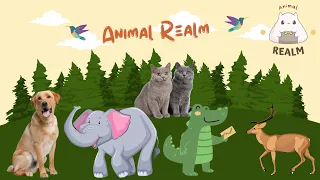 Funny animal sound - animal sounds for kids - 34 amazing animals