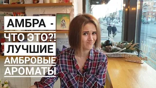 Что такое амбра? Амбровые ароматы/ парфюмы с нотой амбры