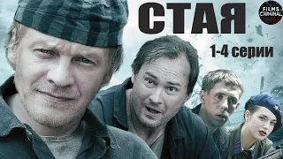 Стая (2009) Криминальный боевик. 1-4 серии