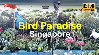 🇸🇬 Walkthrough Bird Paradise Full Tour @ShineWalkingTour