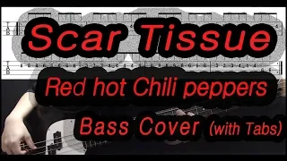 Red Hot Chili Peppers - Scar Tissue (Bass cover with tabs 111)