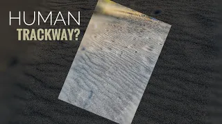 Trackway Found in the Sand  |  Human or Bigfoot?