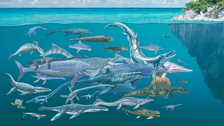 Prehistoric Sea Predators, Sea Monsters, Size Comparison, The Largest Prehistoric Sea Animals