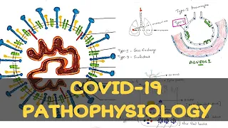 Covid-19 | Corona virus | Structure and Pathophysiology | Bio science