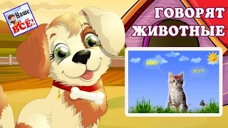 Говорят животные (голоса животных). Хит интернета по-новому! / Talking animals cartoon. Наше всё!