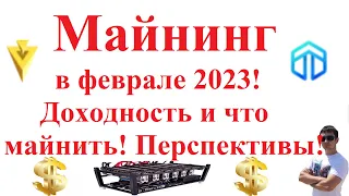 Майнинг в феврале 2023! Доходность и что майнить! Перспективы!