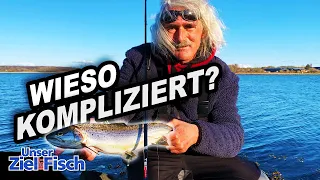 MEERFORELLE: EINFACHER GEHT'S NICHT - Unser Ziel ist Fisch - Angelschule mit Jörg Ovens