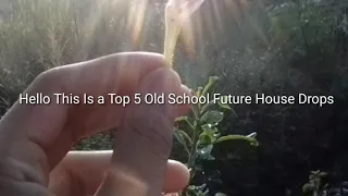 Top 5 Old School Future House Drops| Season 11