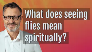 What does seeing flies mean spiritually?