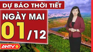 Dự báo thời tiết ngày mai 1/12: Hà Nội rét sâu, có mưa nhỏ rải rác, Trung Bộ mưa dông lớn | ANTV