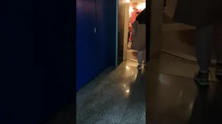Аэропорт Внуково. Летим в Турцию.