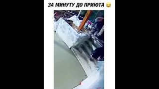 Шашлык из собаки 😳😂