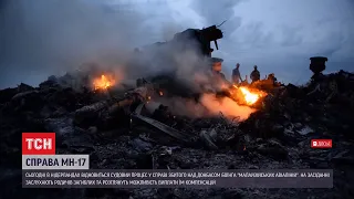 У Нідерландах поновлюють суд у справі збитого над Донбасом літака "Малайзійських авіаліній"