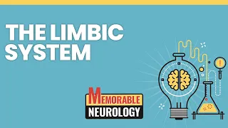 Limbic System Mnemonics (Memorable Neurology Lecture 2)