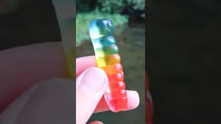 Fishing with gummy worms..