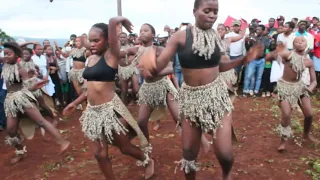 ZULU GIRLS DANCERS