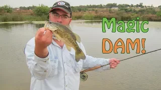 "Bass Magic" Fly Fishing For Bass In Gauteng South Africa | Fish The Fly