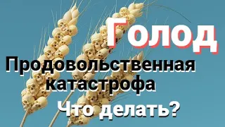 Голод. Продовольственная катастрофа. Что делать? Как защититься?