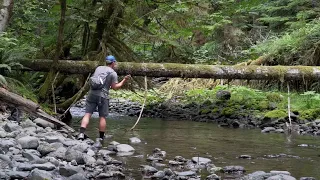 CRESCENTI CUTTHROAT TROUT!! | Fishing for INCREDIBLE Native Fish! | Olympic National Park