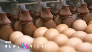 What’s behind Britain’s egg shortage? - BBC Newsnight