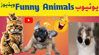 New Funny Animal 😅 Funniest Cat and Dog Videos🐹🐕#9